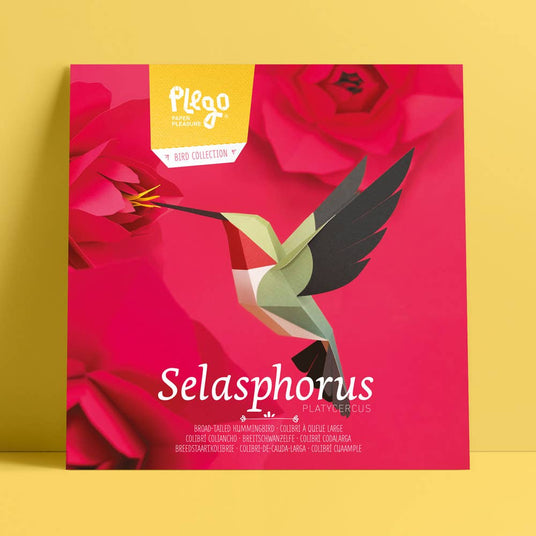 PLEGO - SELASPHORUS PLATYCERCUS - Papiervogel