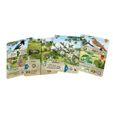 Lookout Spiele | Mischwald - Waldrand
