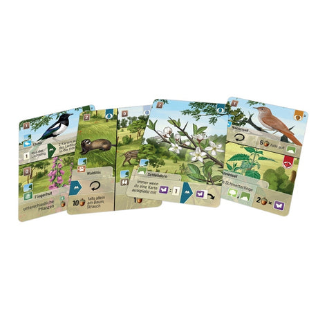 Lookout Spiele | Mischwald - Waldrand