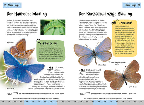 KOSMOS | Kindernaturführer Welcher Schmetterling ist das?