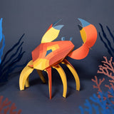 PLEGO - CANCRIDAE - Papierkrabbe