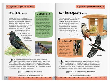 KOSMOS | Kindernaturführer Was fliegt denn da?