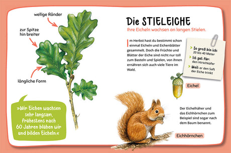 KOSMOS | Mein 1. Naturführer Welcher Baum ist das?