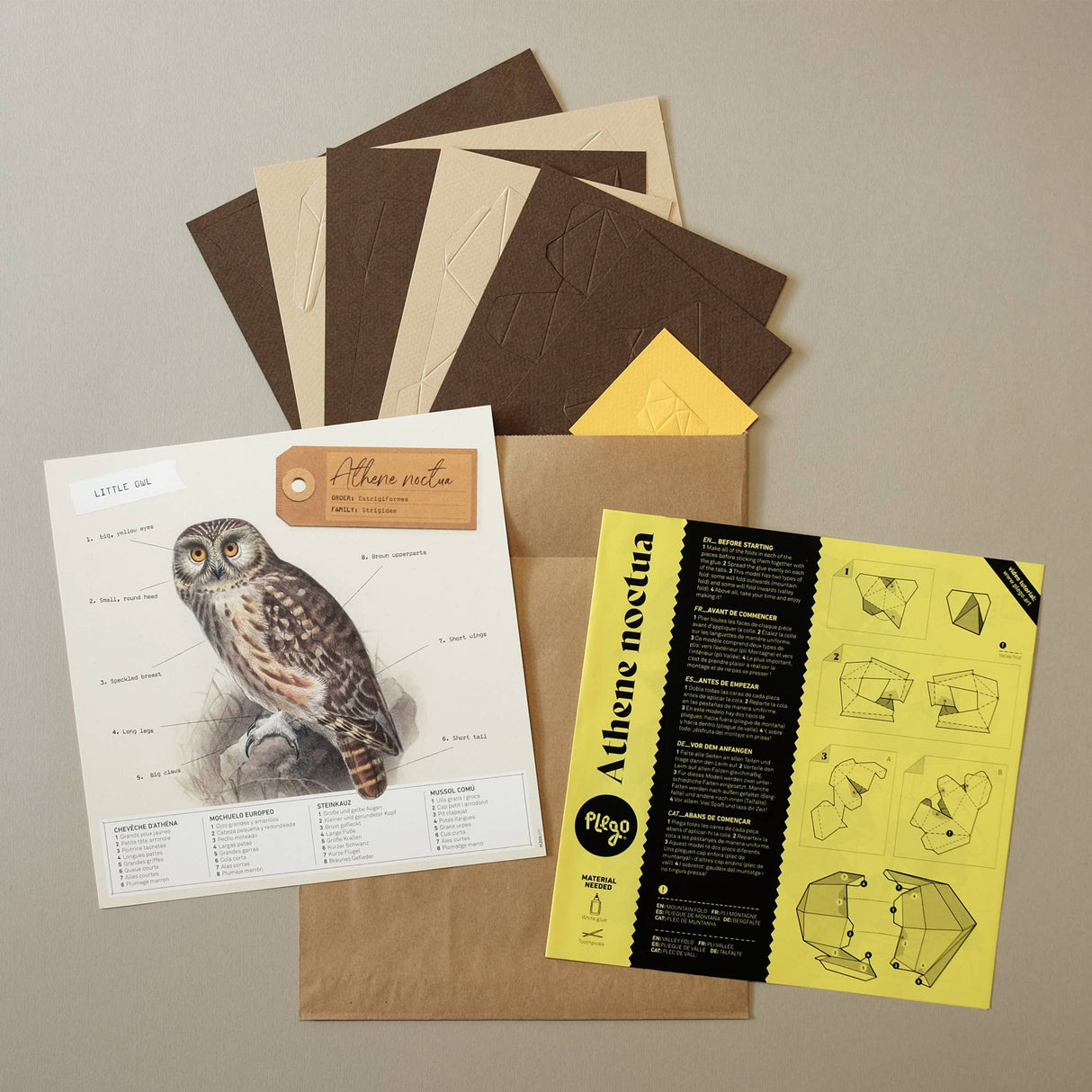PLEGO - ATHENE NOCTUA - Steinkauz - Eule - Papiervogel