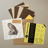 PLEGO - ATHENE NOCTUA - Steinkauz - Eule - Papiervogel
