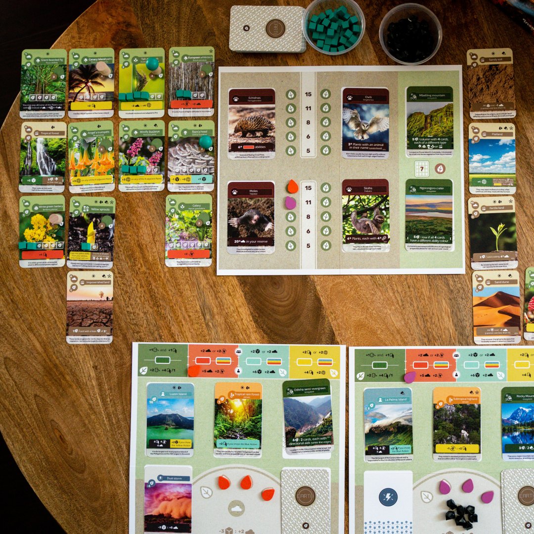 # Erde Brettspiel Skellig Games - Spielkomponenten und Karten auf Holztisch