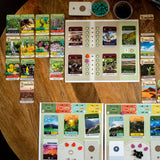 # Erde Brettspiel Skellig Games - Spielkomponenten und Karten auf Holztisch
