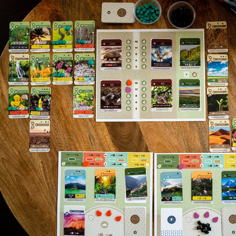 # Erde Brettspiel Skellig Games - Spielkomponenten und Karten auf Holztisch