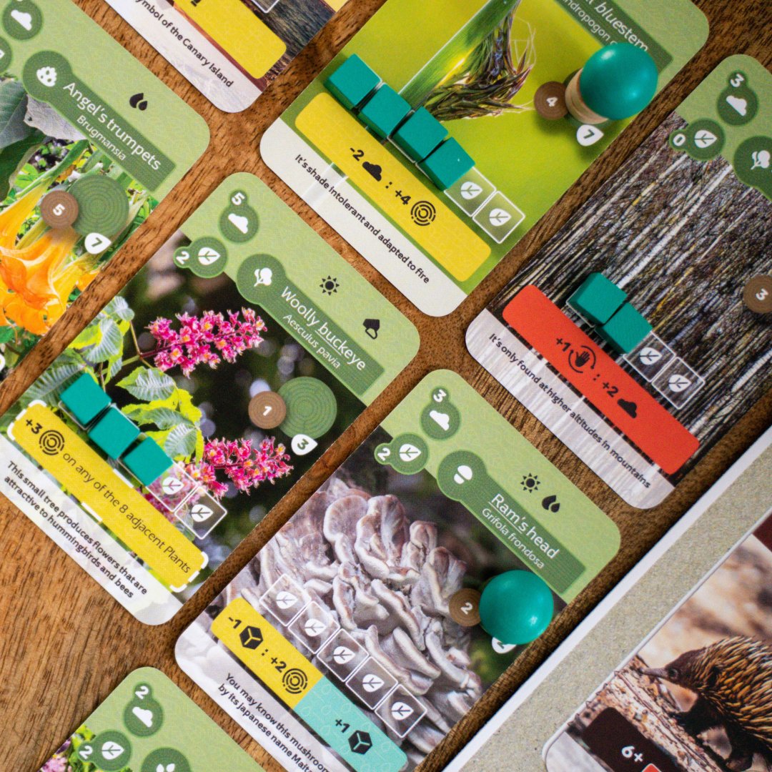 Erde Skellig Games Kartenspiel mit Pflanzenkarten auf Holztisch