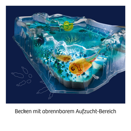 KOSMOS | Fun Science Triops züchten