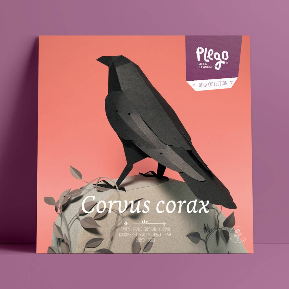 PLEGO - CORVUS CORAX - Rabe - Papiervogel