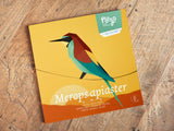 PLEGO - MEROPS APIASTER - BIENENFRESSER - Papiervogel