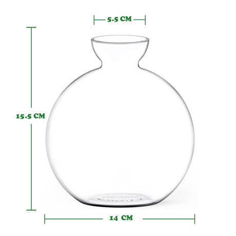 Cloudberries - Vasecado® Grow an Avocado-Pflanze, handgeblasene Vase aus klarem Glas