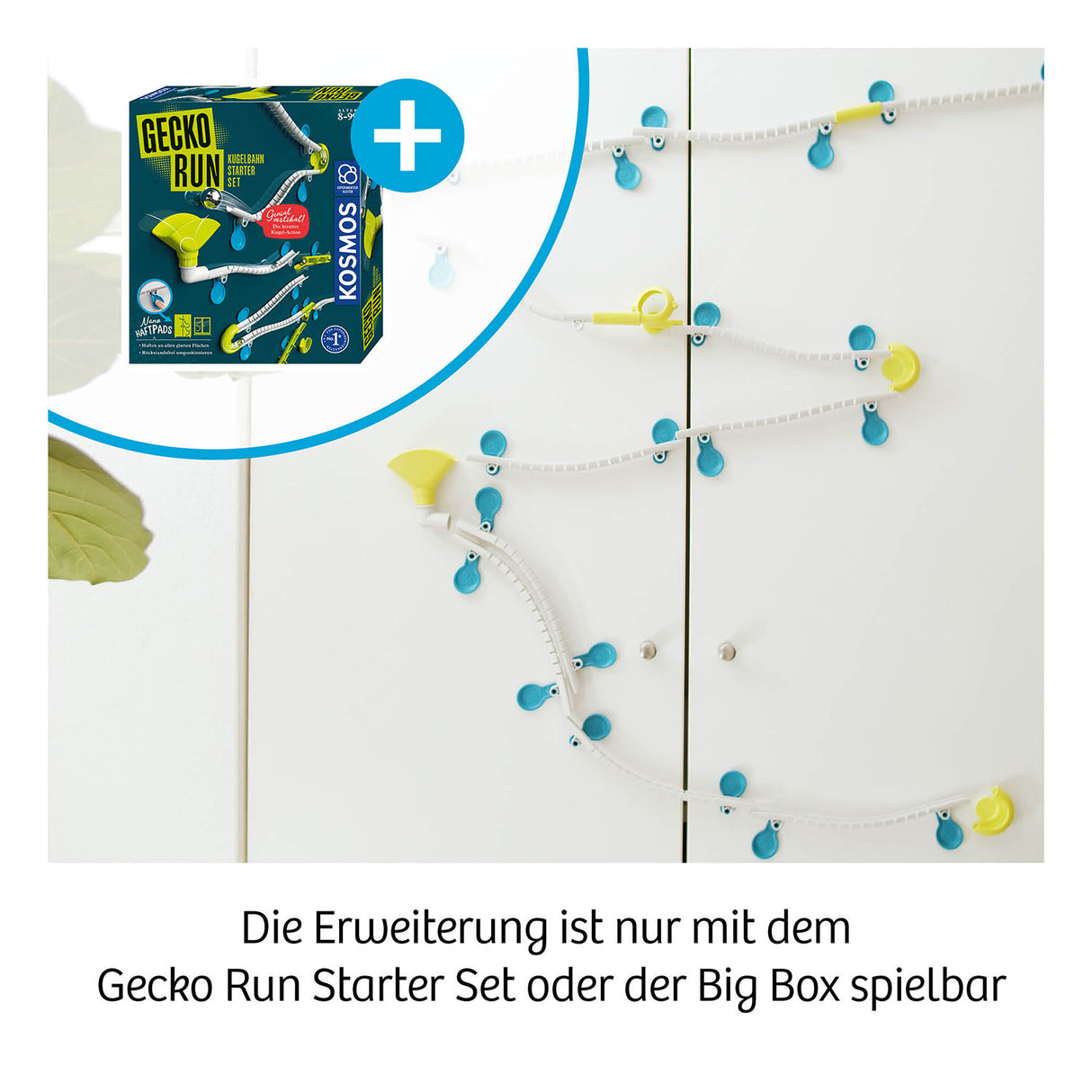 KOSMOS | Gecko Run, Twister