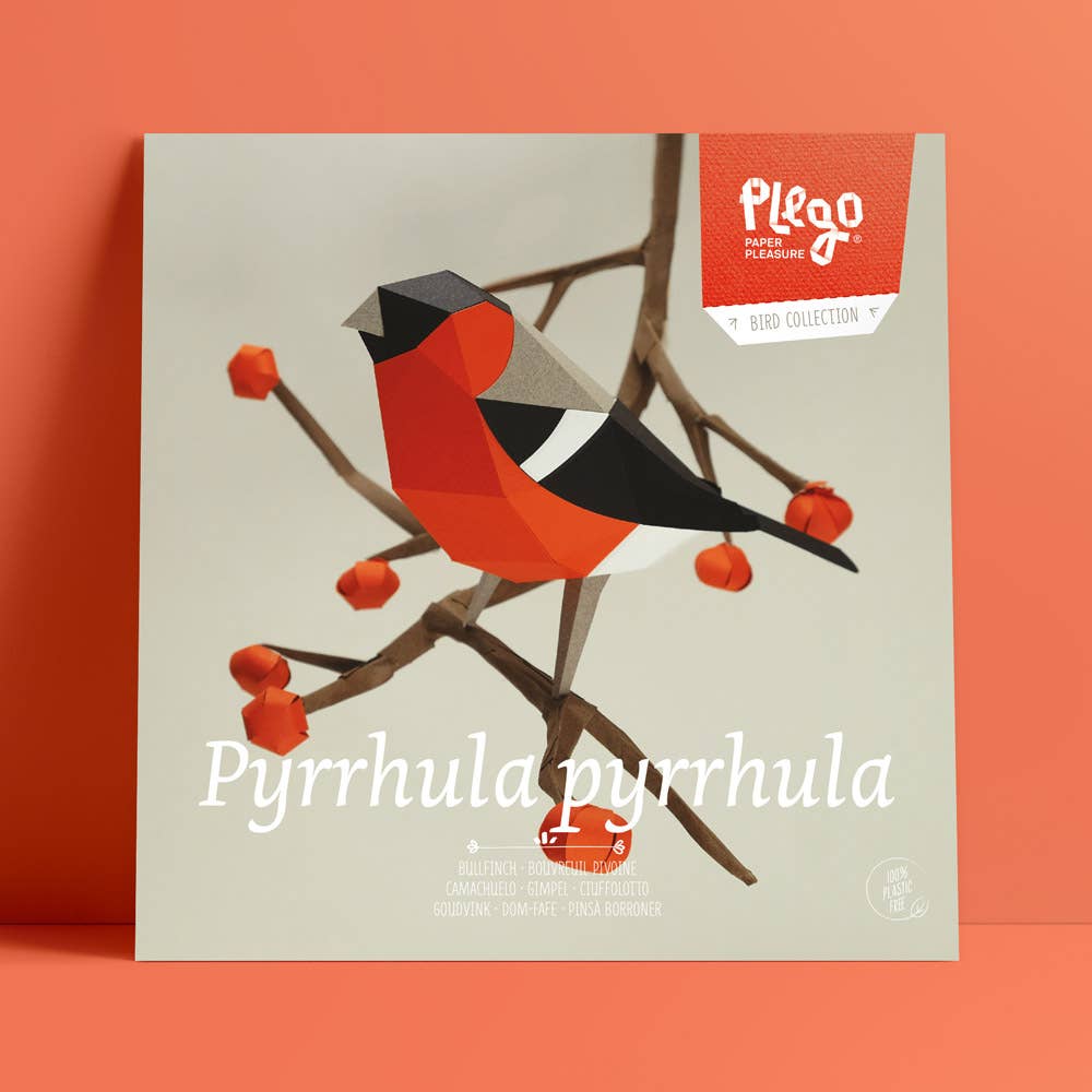 PLEGO - PYRRHULA PYRRHULA - Papiervogel