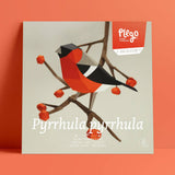PLEGO - PYRRHULA PYRRHULA - Papiervogel