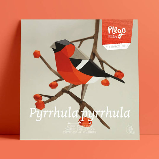 PLEGO - PYRRHULA PYRRHULA - Papiervogel
