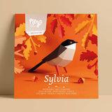 PLEGO - SYLVIA | Samtkopf-Grasmücke - Papiervogel