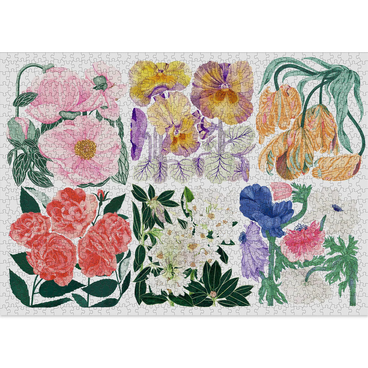 Cloudberries | Flora | Puzzle | 1000 Teile | limitiert