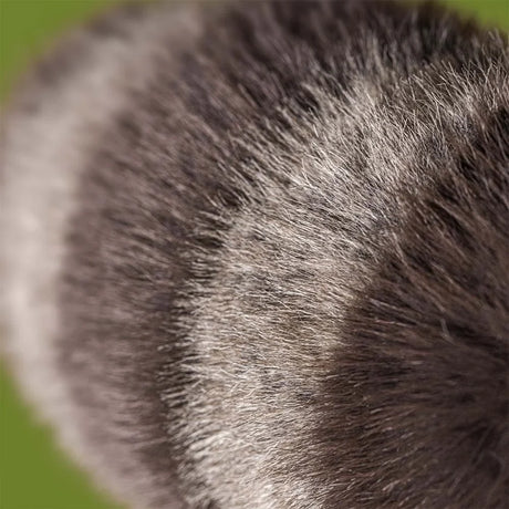 Trixiwoo Raccoon – Bild 2