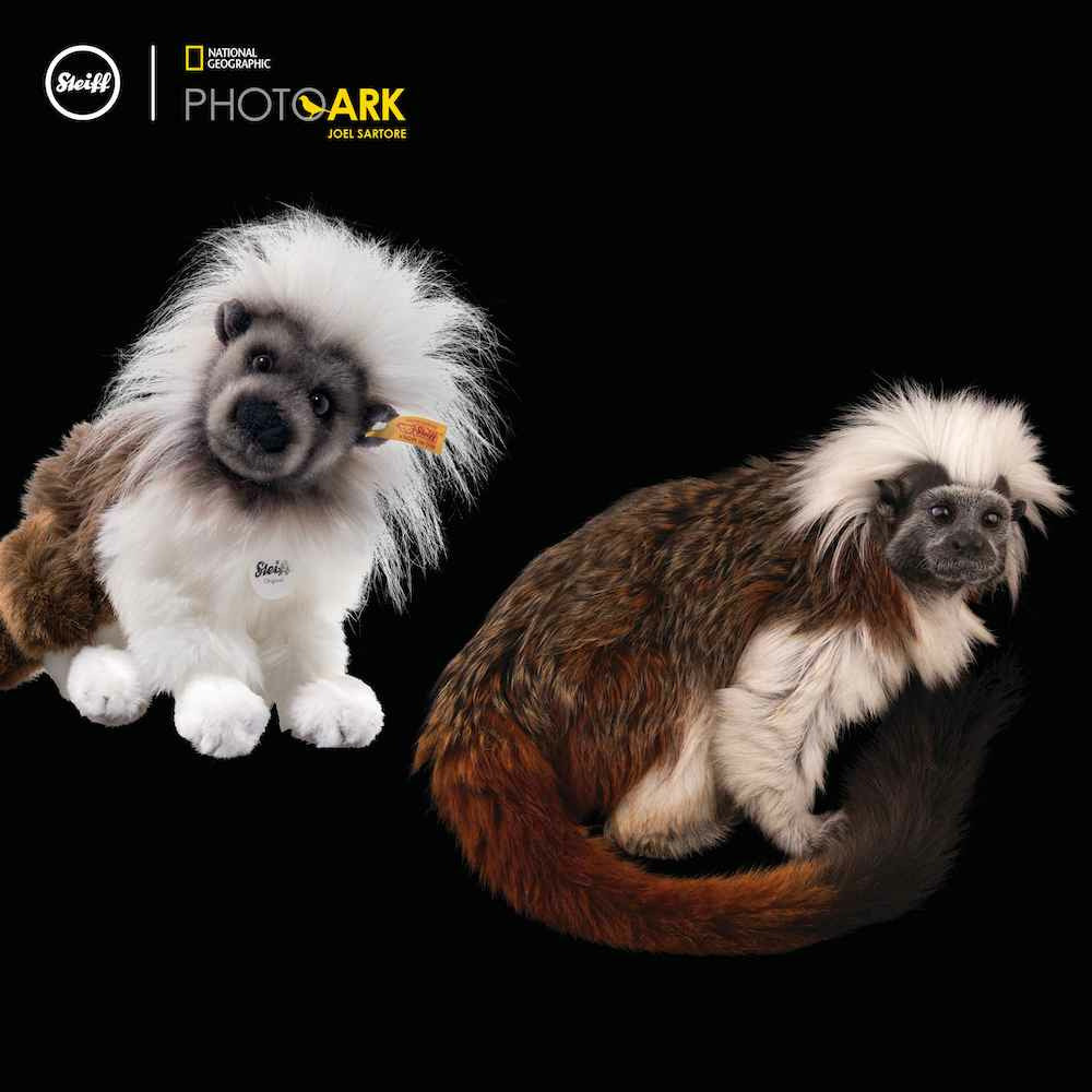 Steiff® | National Geographic Tami Affe | 23 cm