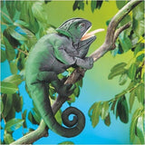 Folkmanis Puppets | Chamäleon / Chameleon