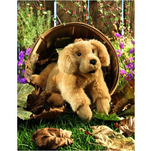 Folkmanis Puppets | Golden Retriever Baby / Golden Retriever Puppy