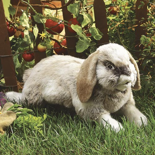 Folkmanis Puppets | Hängeohr-Hase / Rabbit, Holland Lop