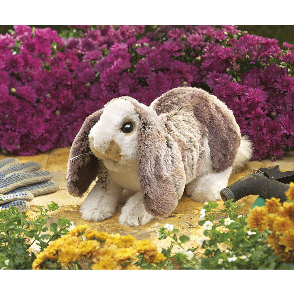 Folkmanis Puppets | Hängeohr-Hasenbaby / Baby Lop Rabbit