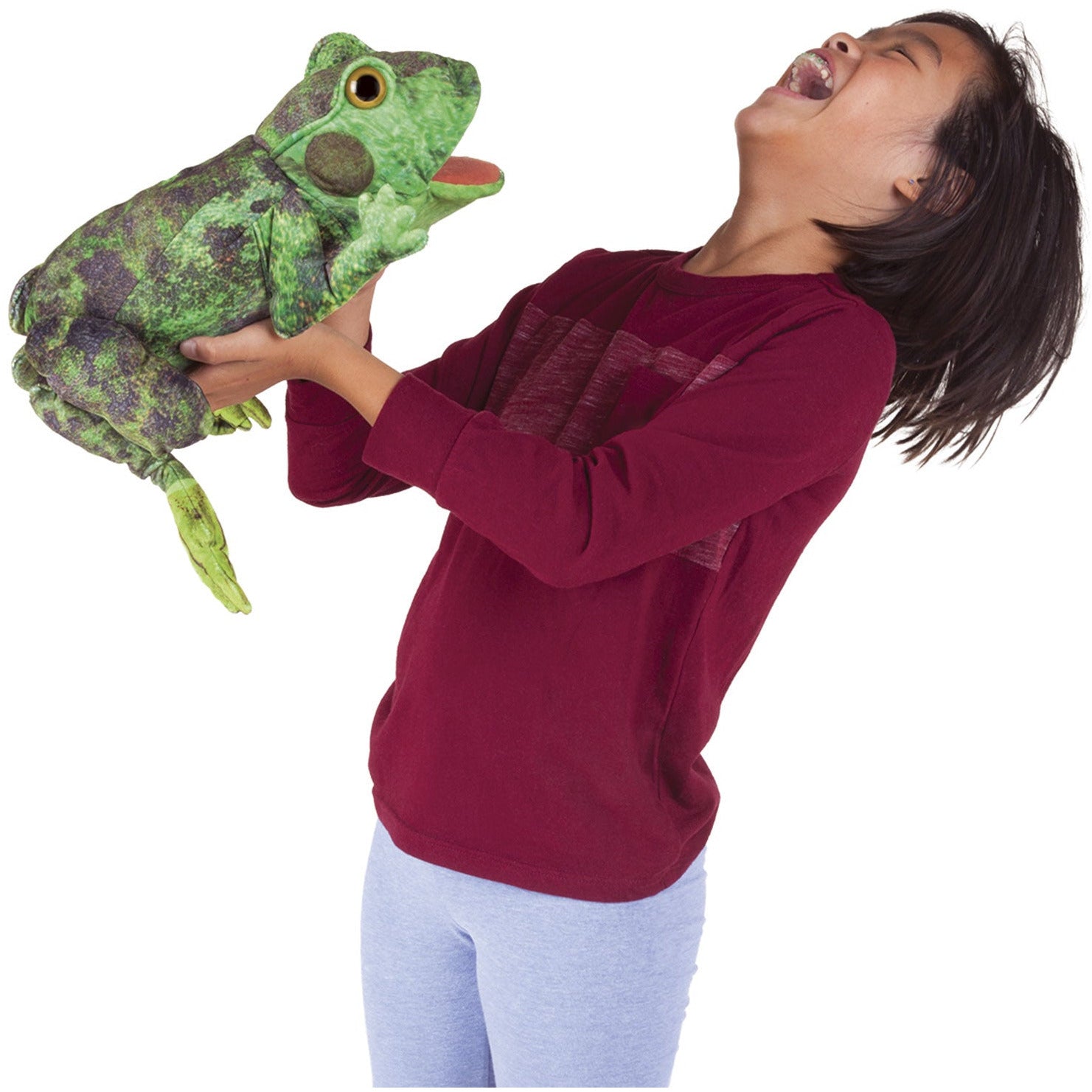 Folkmanis Puppets | Metamorphose Frosch / Frog Life Cycle