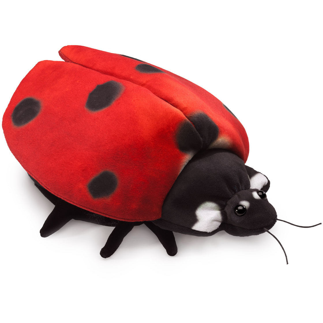 Folkmanis Puppets | Marienkäfer Metamorphose / Ladybug Life Cycle