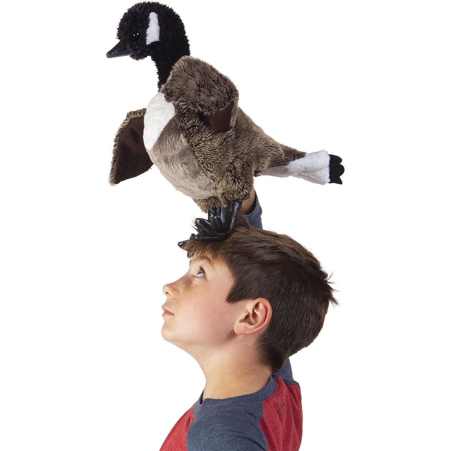 Folkmanis Puppets | Kanada-Gans / Canada Goose