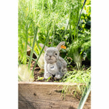 Steiff® | Dormili Hase | 21 cm