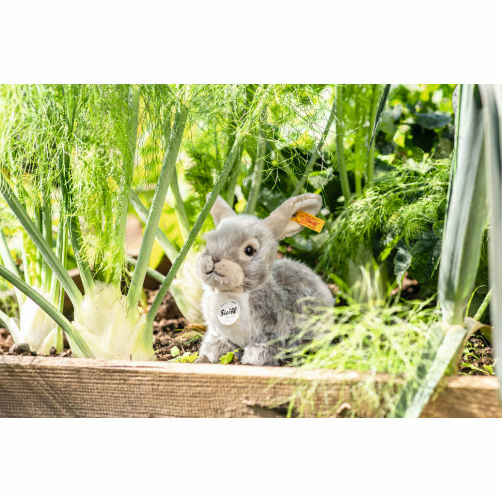 Steiff® | Dormili Hase | 21 cm