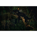 Steiff® | Nero Schlenker-Panther | 40 cm