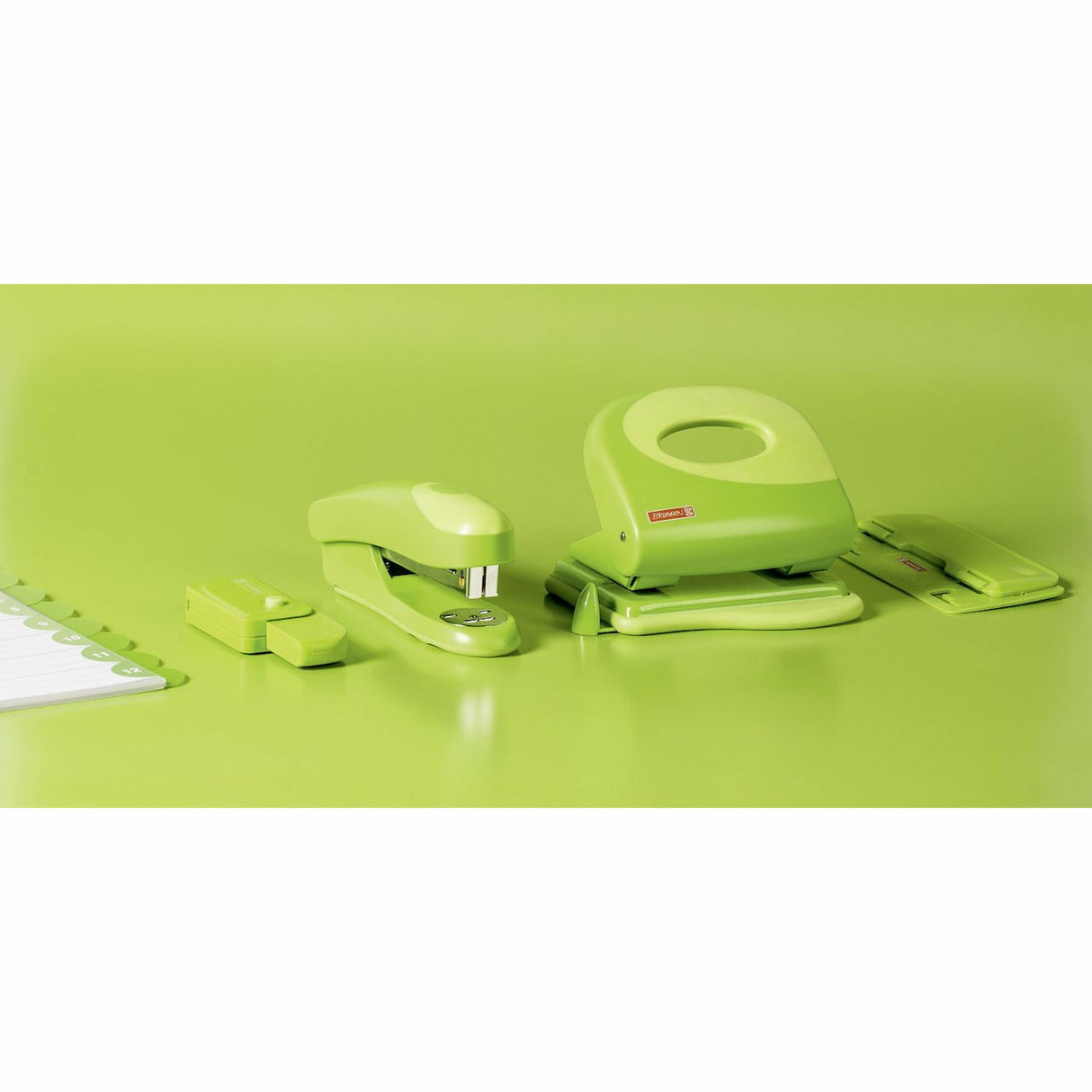 Taschenlocher kiwi