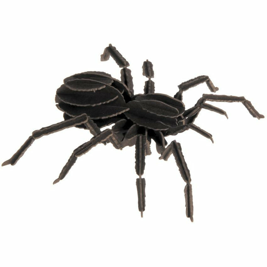 3D-Modell | Vogelspinne | Spezialkarton | gelasert