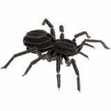 3D-Modell | Vogelspinne | Spezialkarton | gelasert