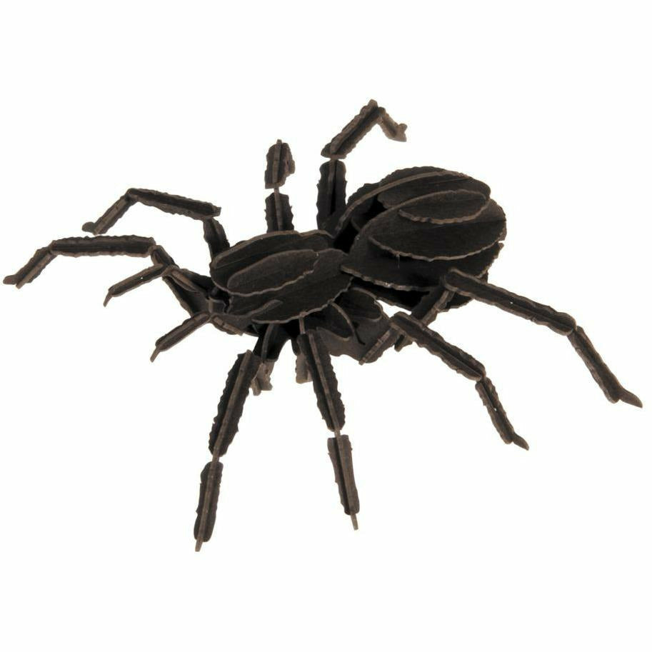 3D-Modell | Vogelspinne | Spezialkarton | gelasert
