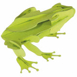 3D-Modell | Frosch | Spezialkarton | gelasert
