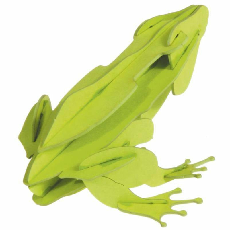 3D-Modell | Frosch | Spezialkarton | gelasert