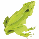3D-Modell | Frosch | Spezialkarton | gelasert