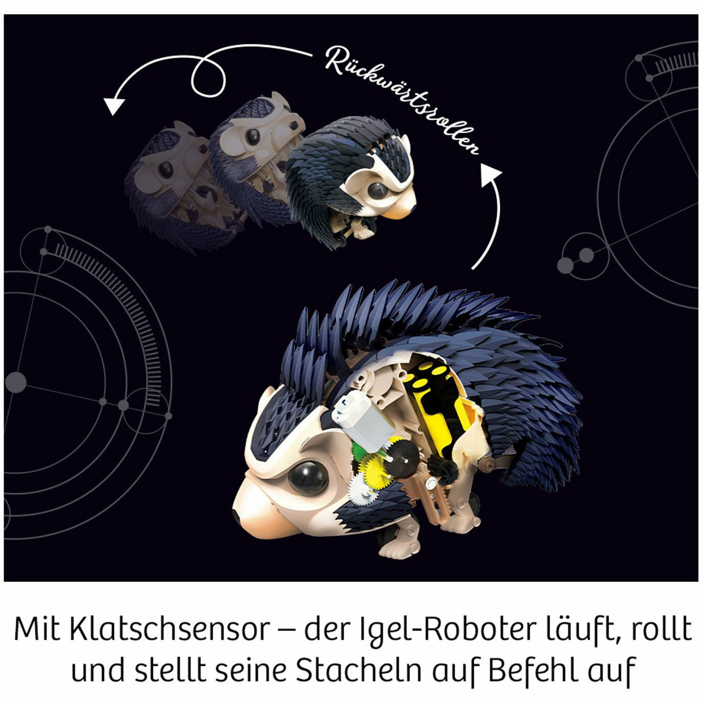 KOSMOS | Nuna - Dein Igel-Roboter