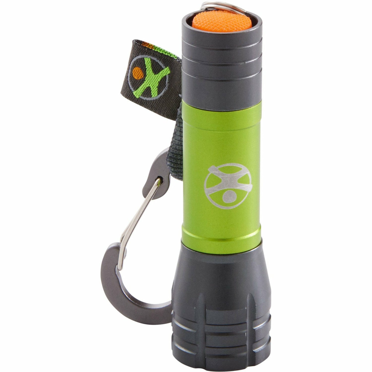 HABA | Display Terra Kids Mini-Taschenlampen