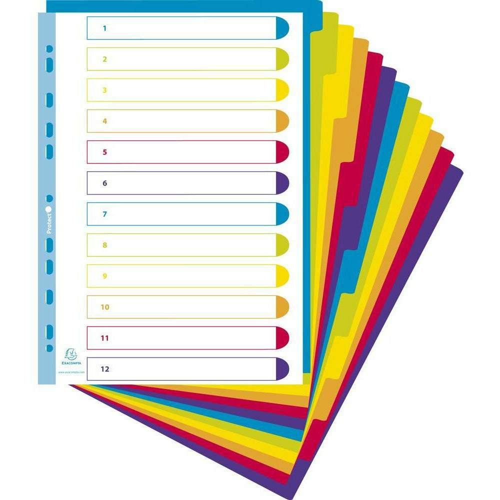 Campus Register A4+ PP 12tlg