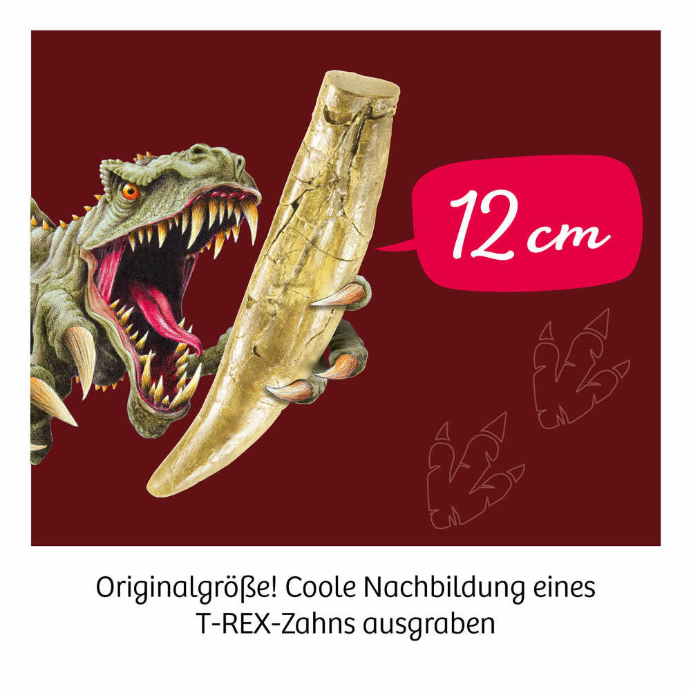 KOSMOS | T-Rex Zahn