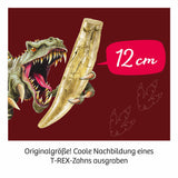 KOSMOS | T-Rex Zahn