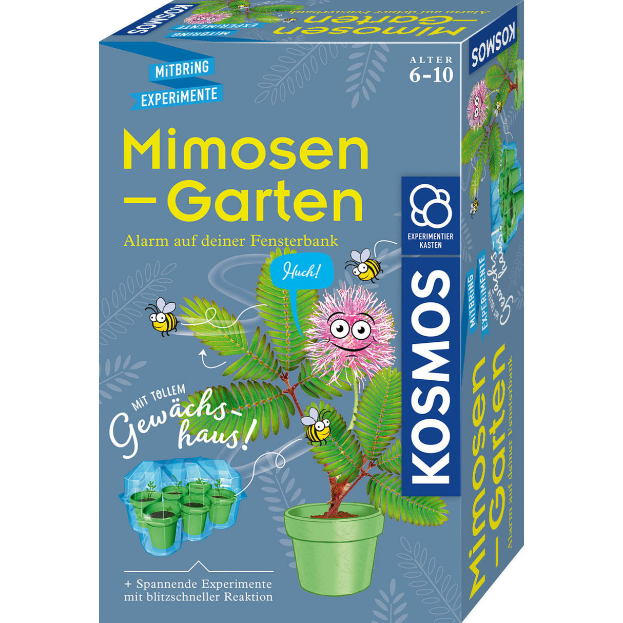 KOSMOS | Mimosen-Garten