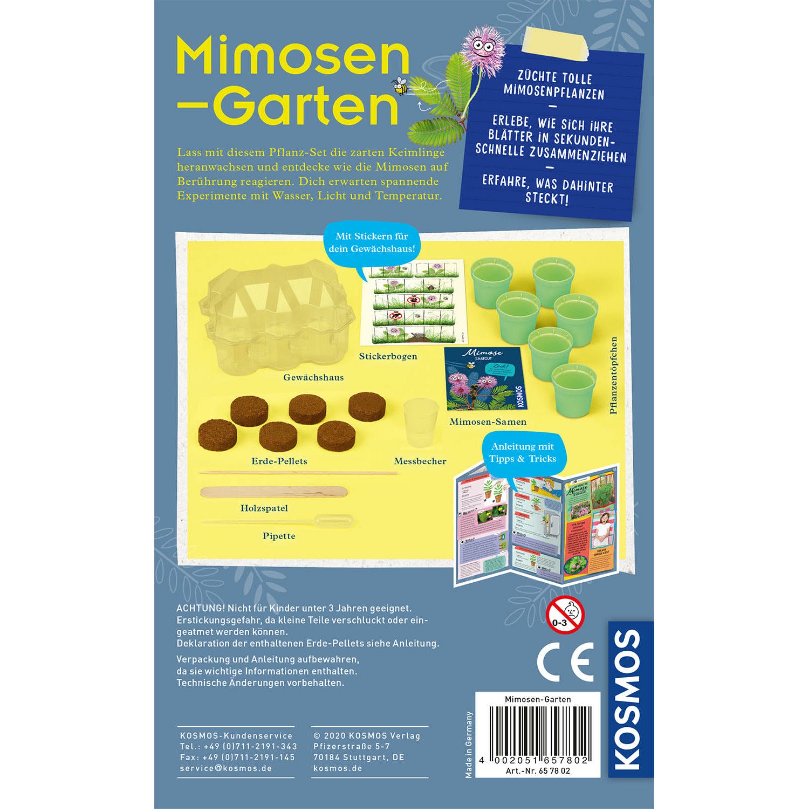 KOSMOS | Mimosen-Garten