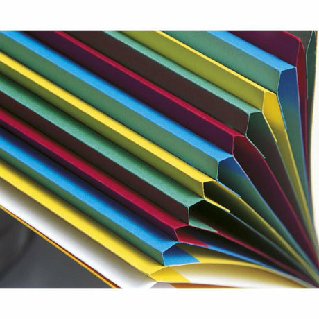 Ordnungsmappe A4 Harmonika 6tlg sort